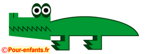 crocodile